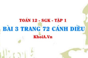 Bài 3 trang 72 Toán 12 tập 1 Cánh Diều